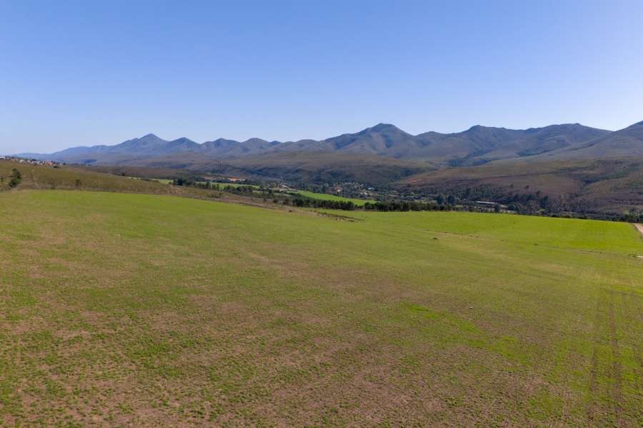 0 Bedroom Property for Sale in Kareedouw Eastern Cape